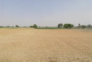 Sikandrabad, Uttar Pradesh 203205, India preview 3