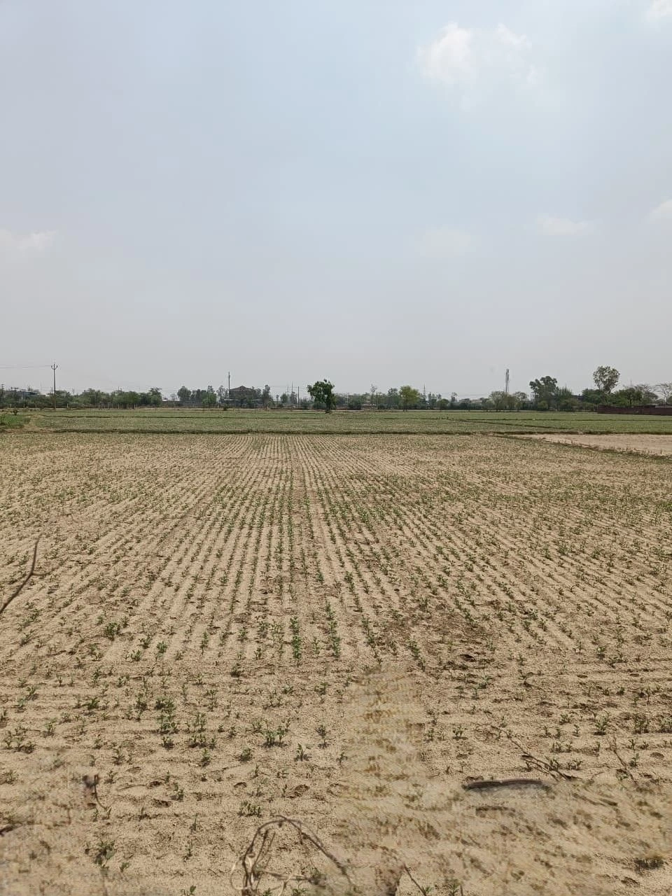 Kanwarpura, Kota, Rajasthan, India