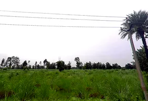 Bhaguwala, Uttar Pradesh 246749, India preview 3