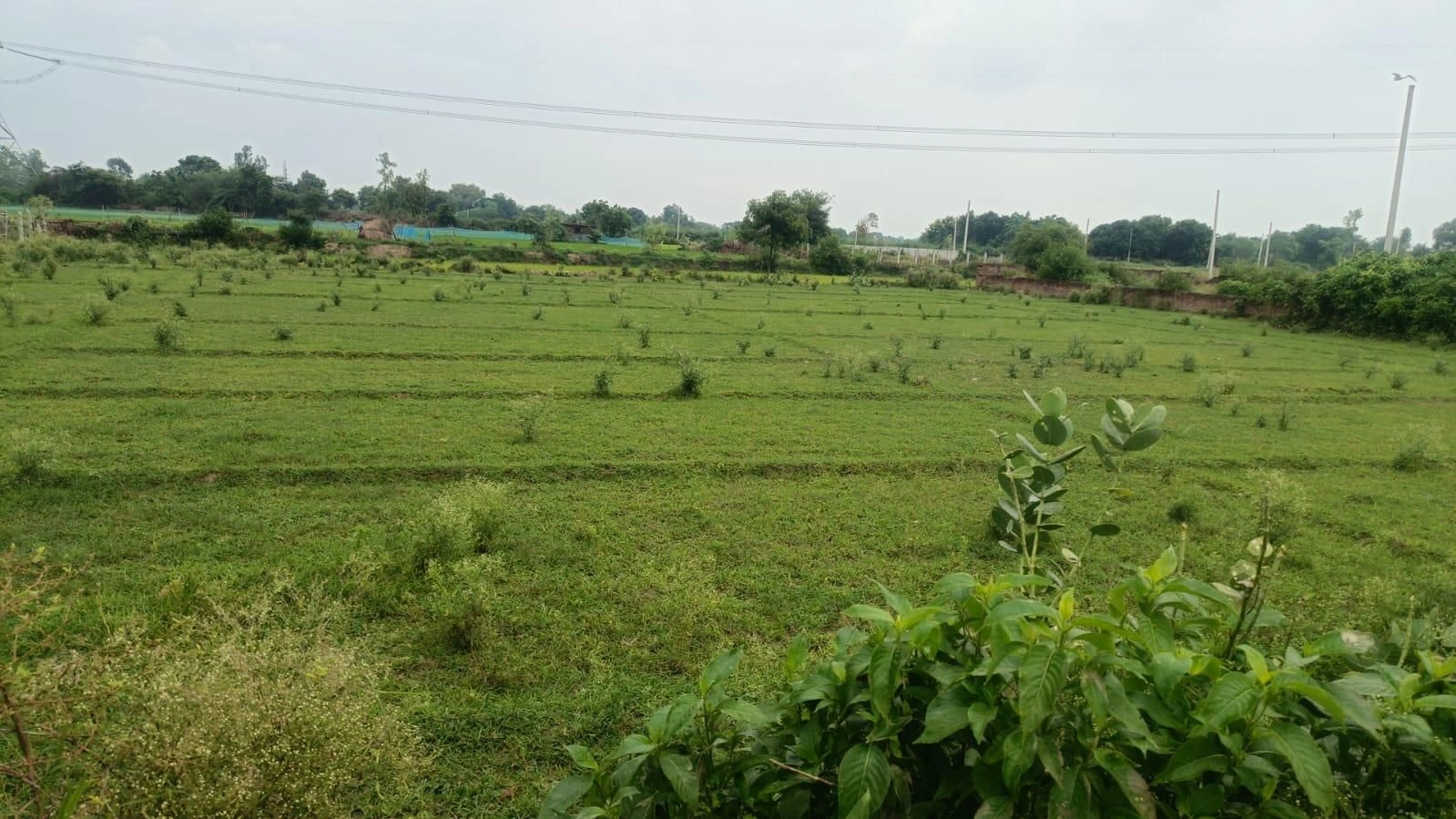 Khanpura, Patna, Bihar 801110, India
