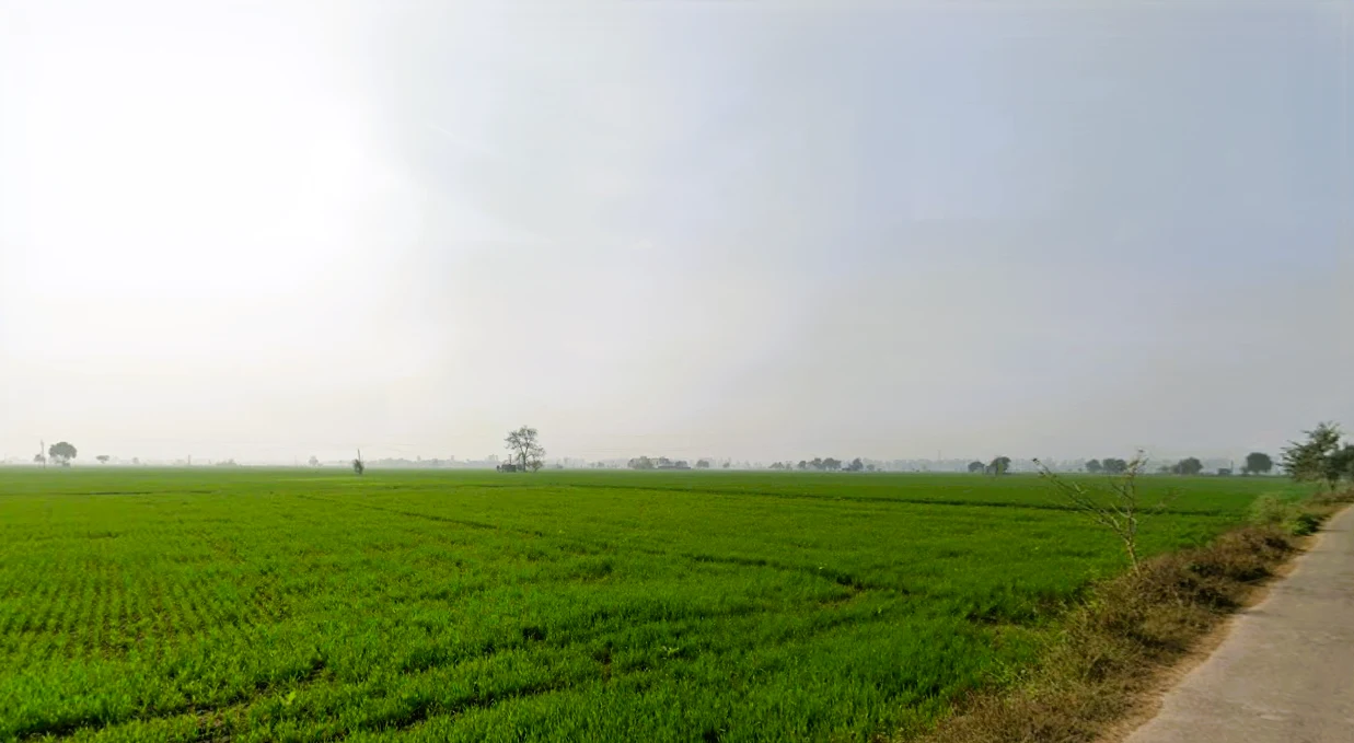 Govind Majra, Haryana, India preview 2