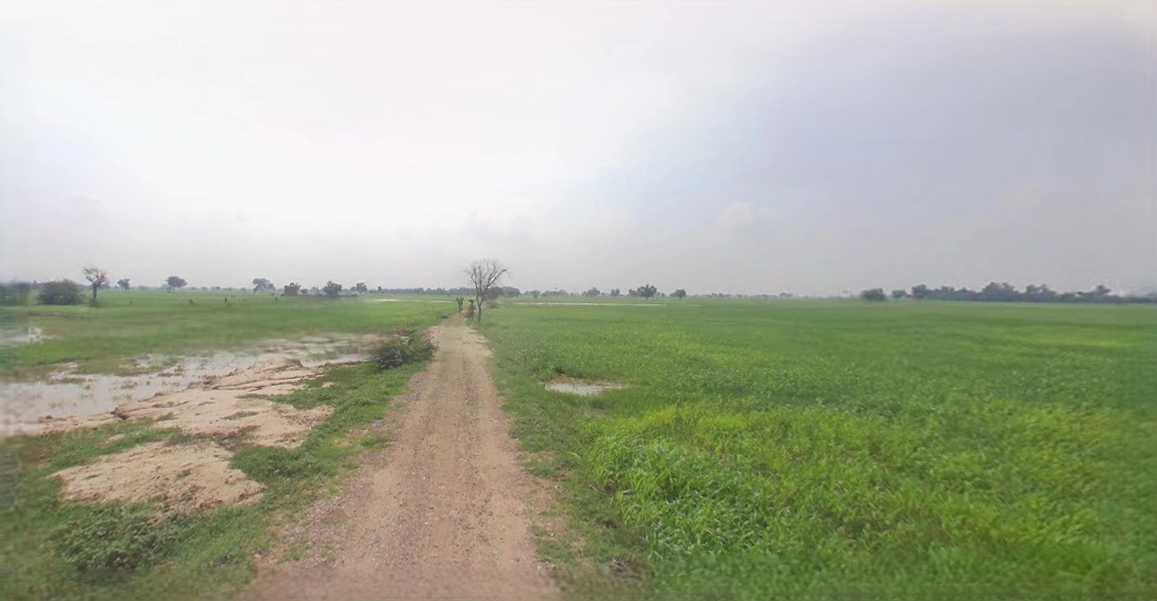 Barnagar, Madhya Pradesh 456771, India