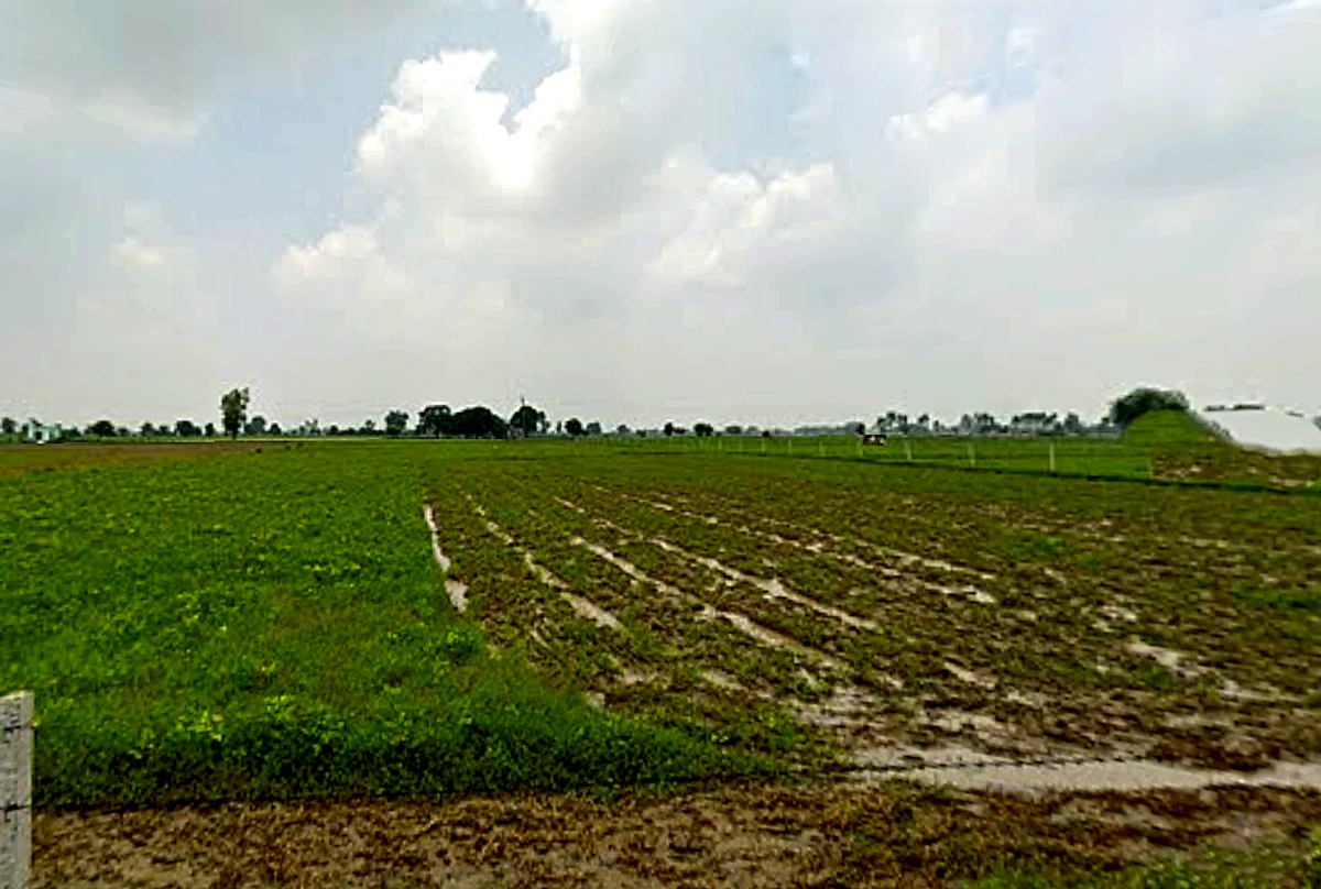 Tentigaon, Uttar Pradesh, India