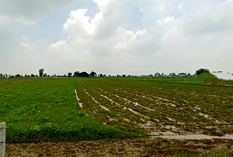Tentigaon, Uttar Pradesh, India preview 3