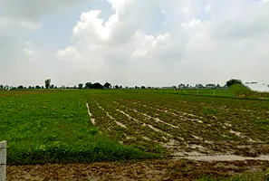 Tentigaon, Uttar Pradesh, India preview 3