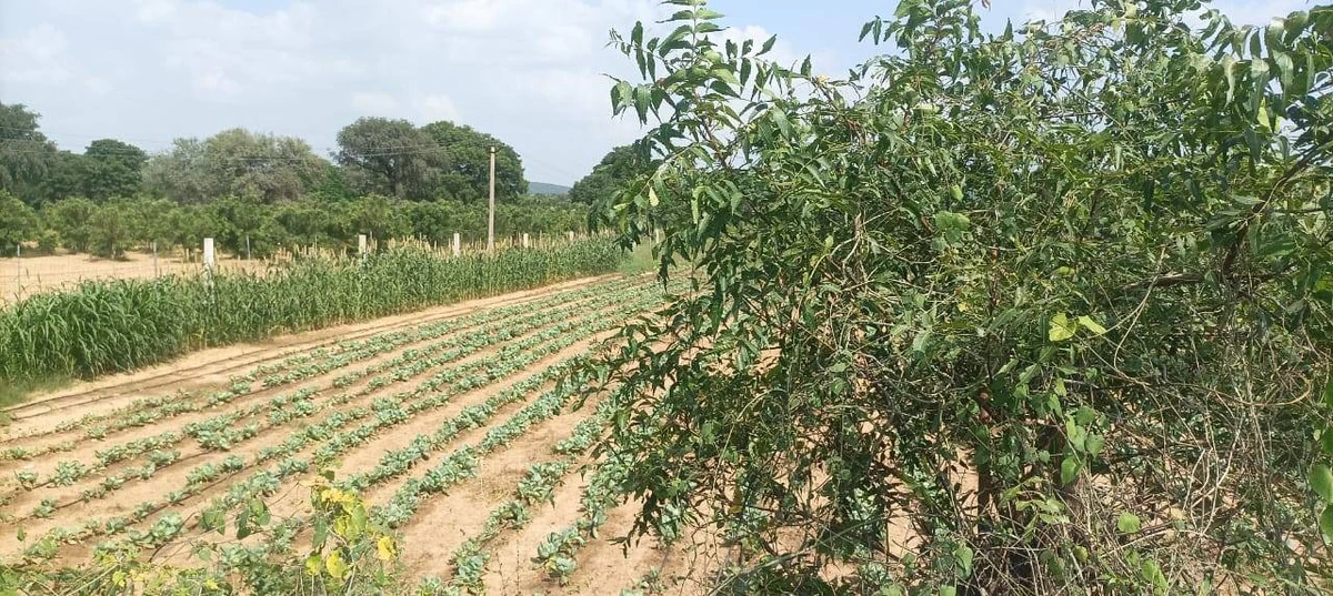 JHVH+P3R, Deo Nagar, Rajasthan 311203, India