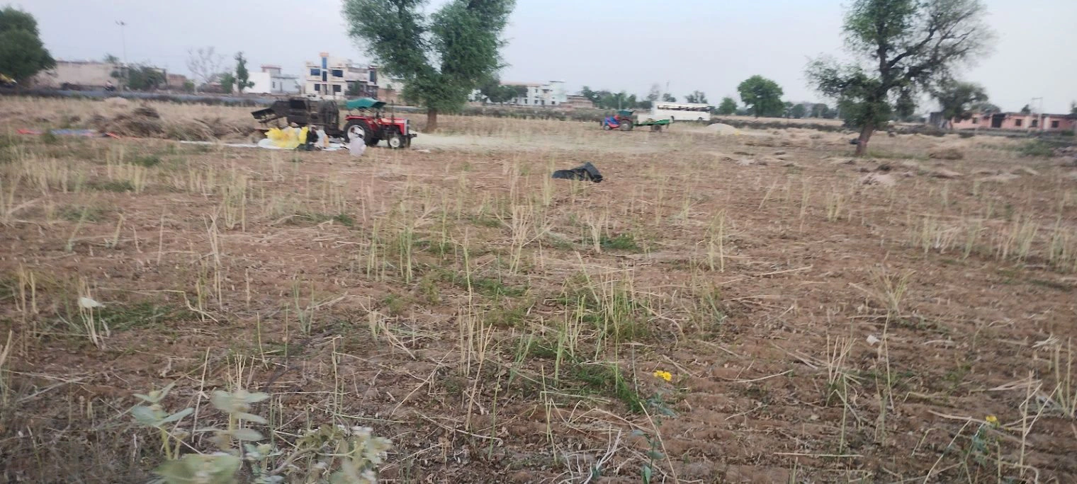 Barodameo, Rajasthan 301021, India