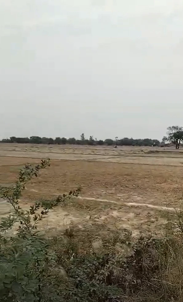 FQ4C+PC5, Purwa, Uttar Pradesh 209825, India
