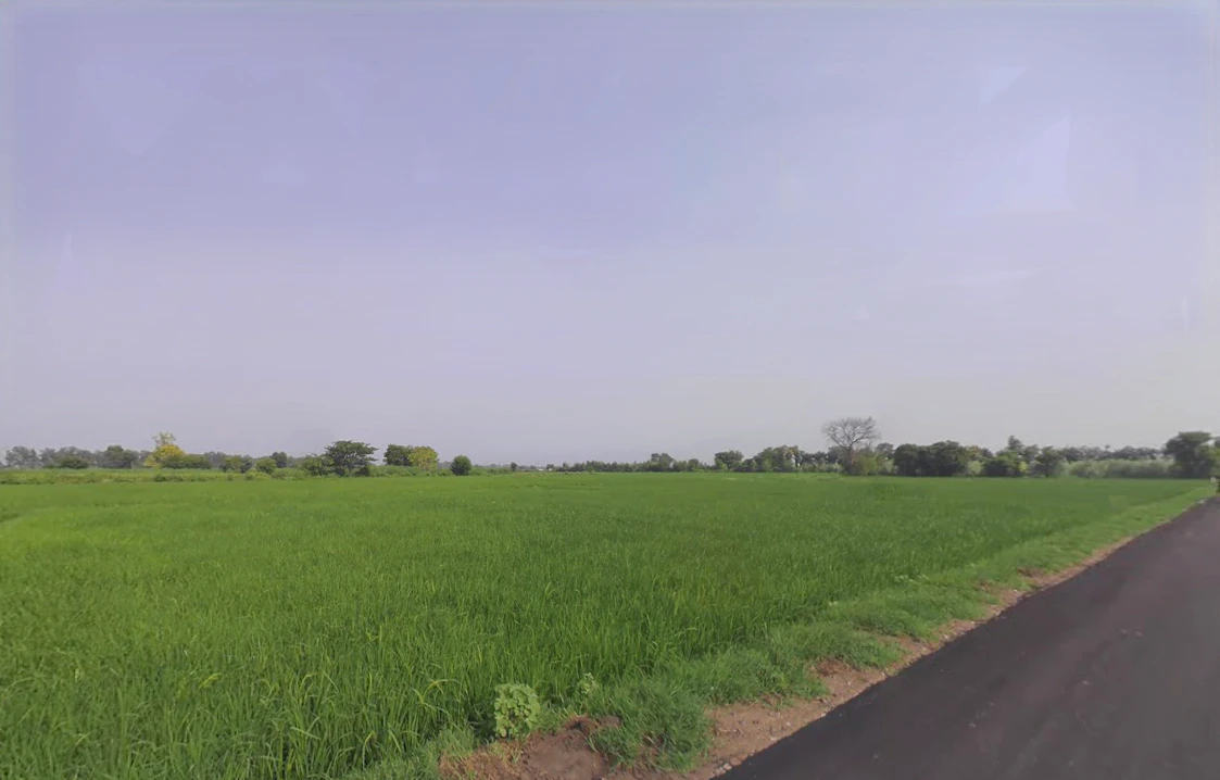 Badoli, Haryana 121102, India