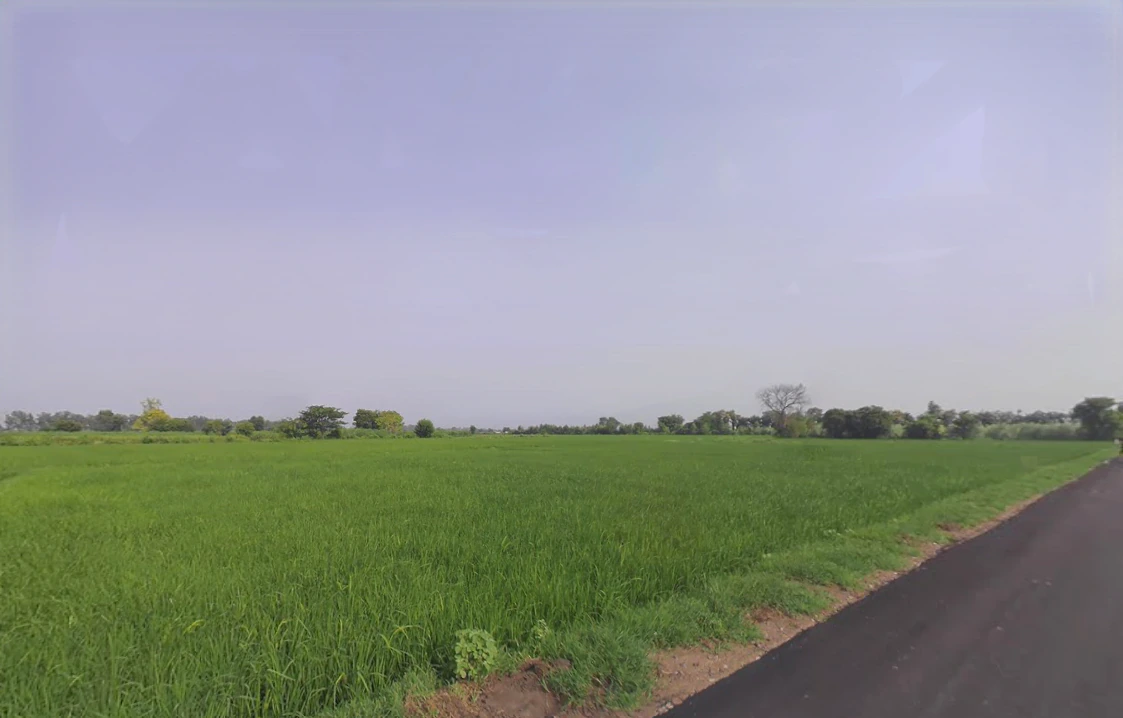Badoli, Haryana 121102, India