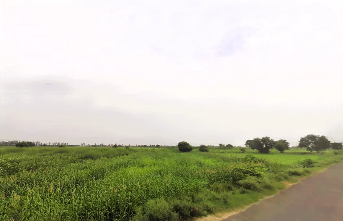 Saveli, Haryana 121105, India