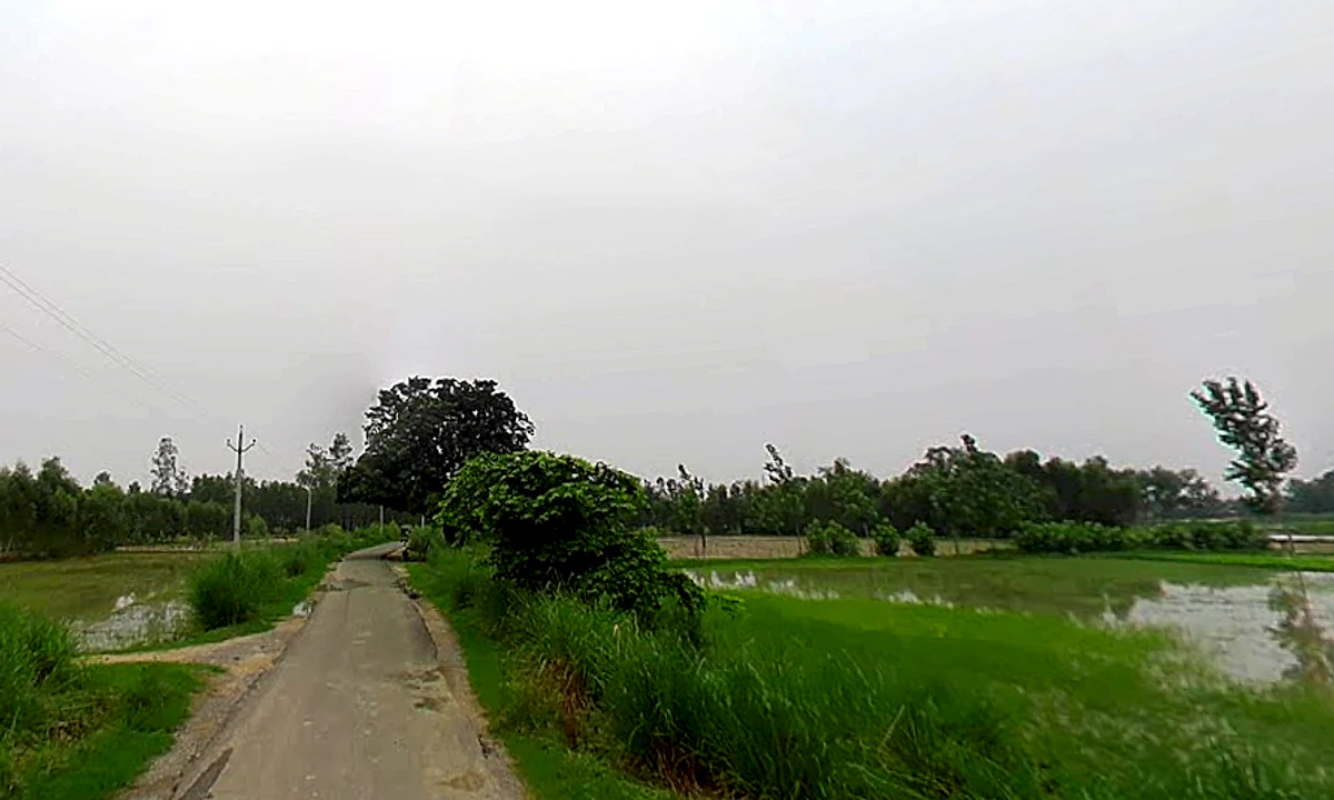 Papad Hamjapur, Uttar Pradesh 243635, India