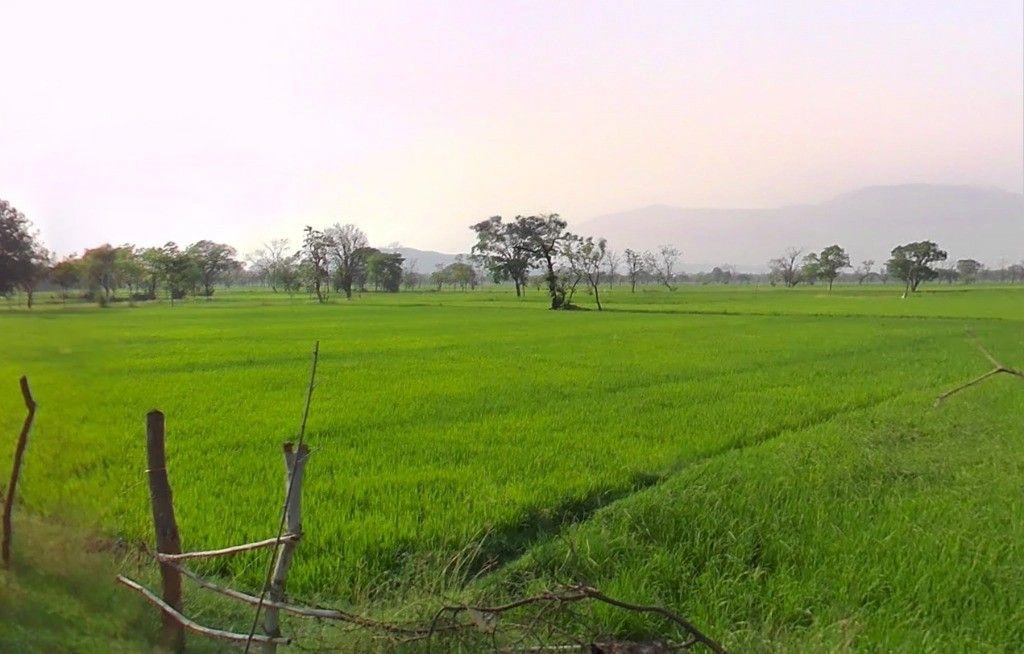 Chhechhar, Chhattisgarh 493344, India preview 3