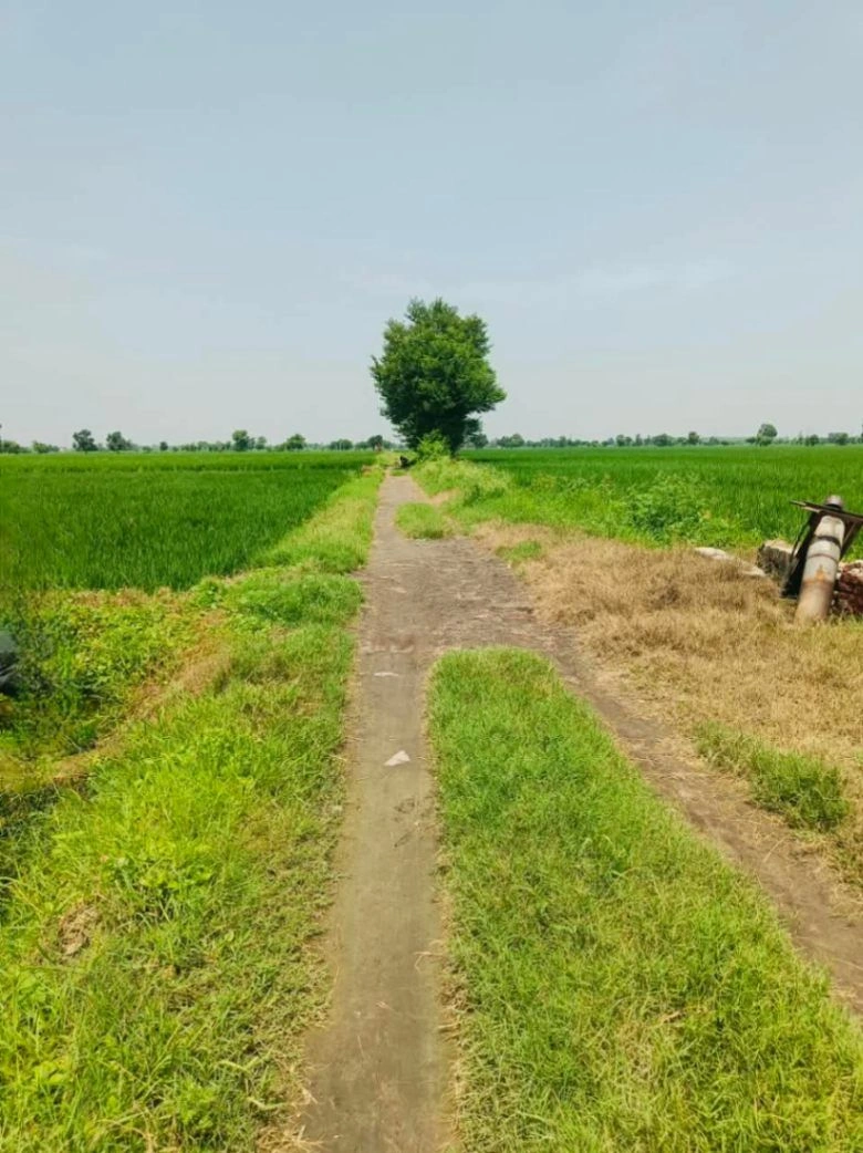Karahari, Mathura, Uttar Pradesh, India