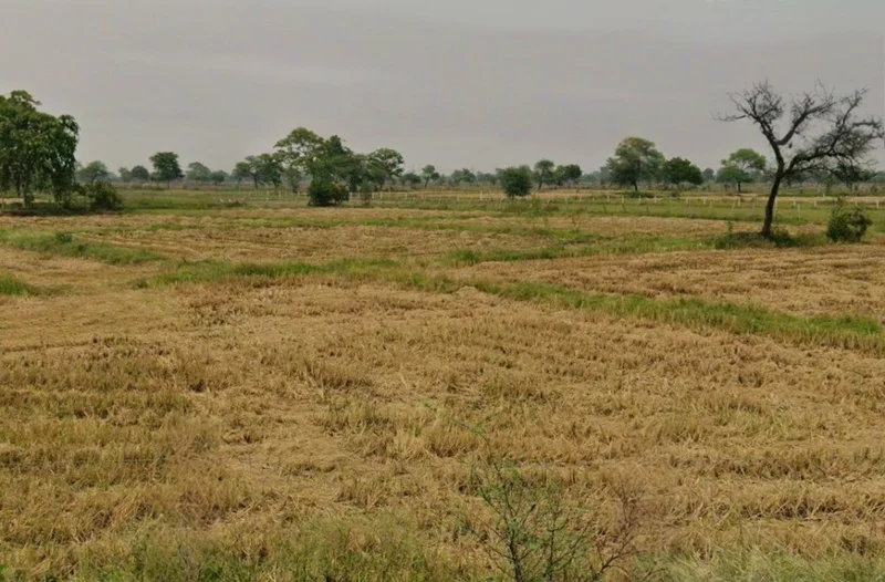 Khamtarai, Chhattisgarh 495006, India preview 3