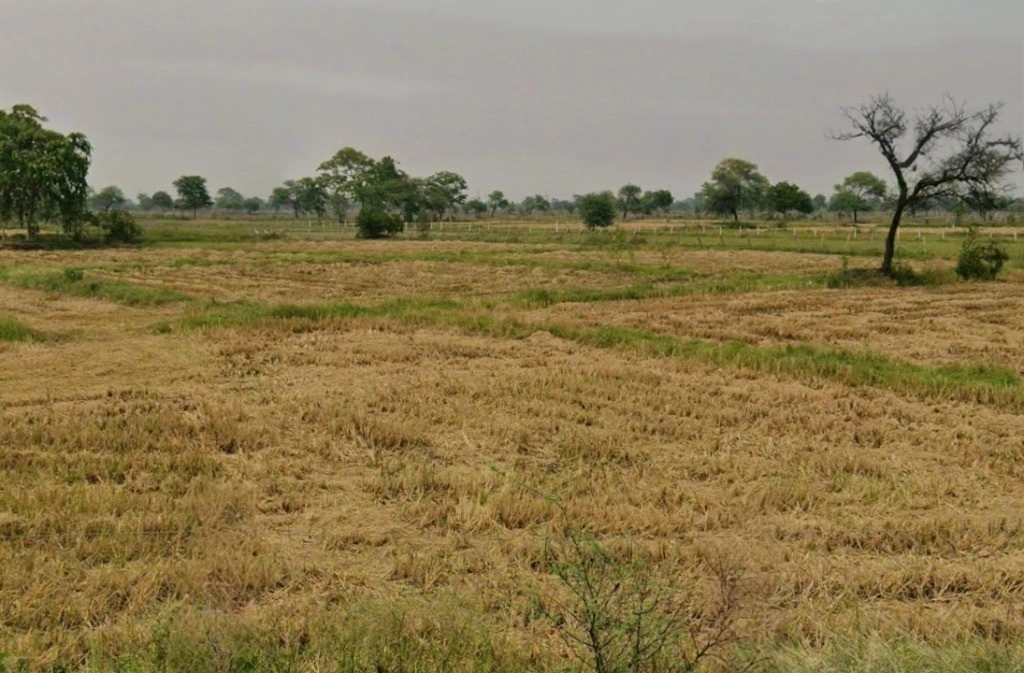 Khamtarai, Chhattisgarh 495006, India