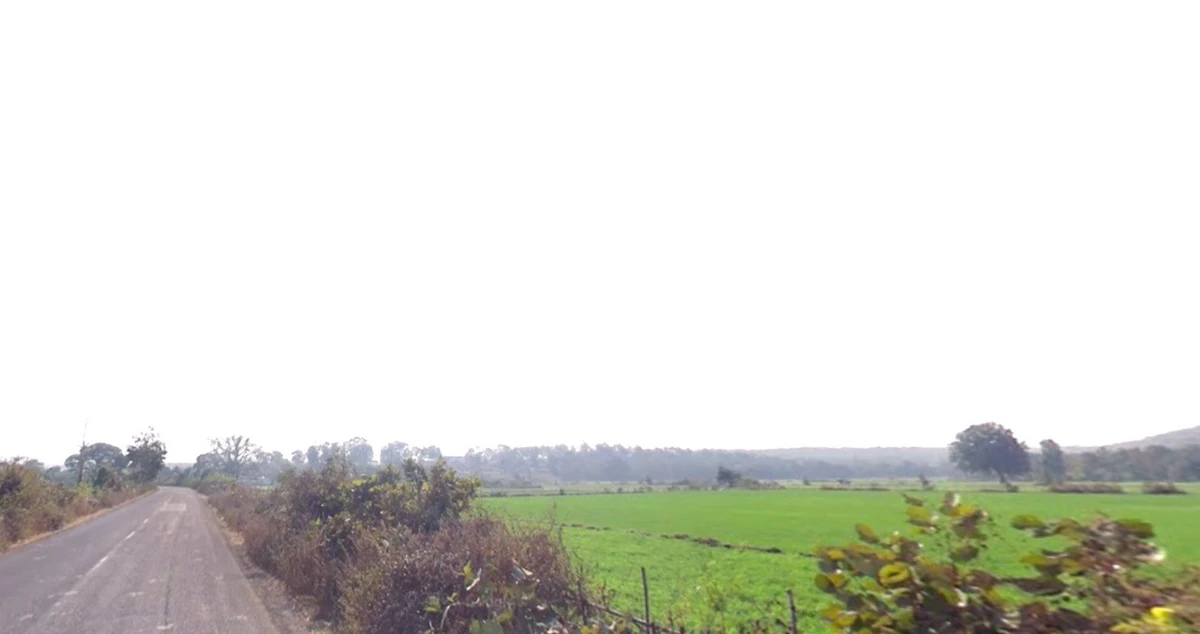 VGMF+V7, Delawadi, Madhya Pradesh 466446, India