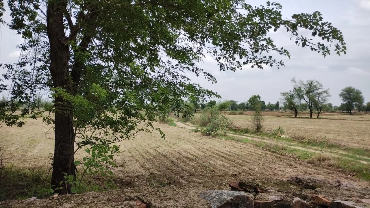 Gelpur, Rajasthan 301707, India