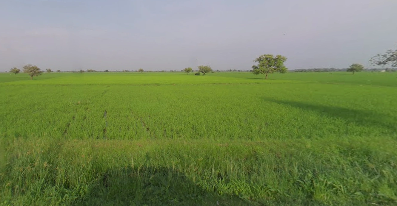 Ganthila, Gujarat 362215, India