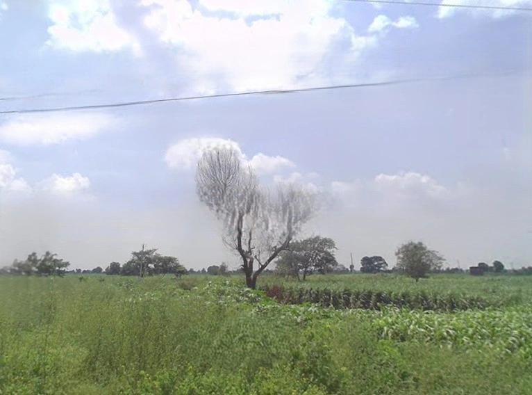 Budhana, Uttar Pradesh 251309, India
