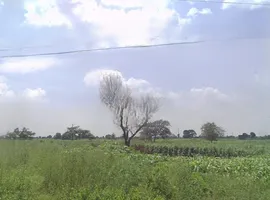 Budhana, Uttar Pradesh 251309, India preview 3