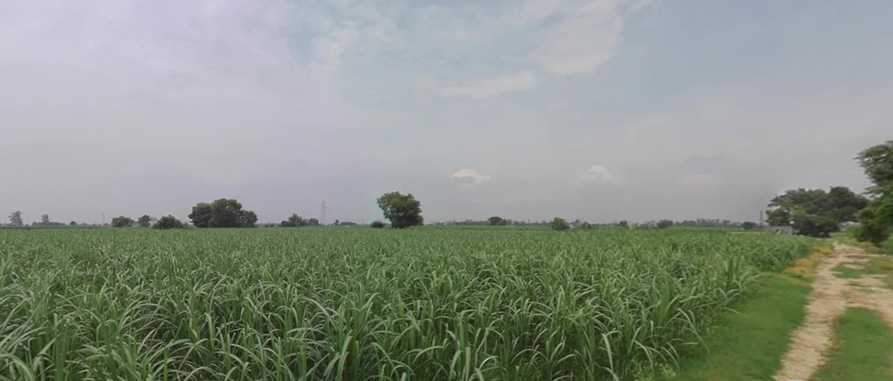 Behram, Punjab 144504, India preview 2