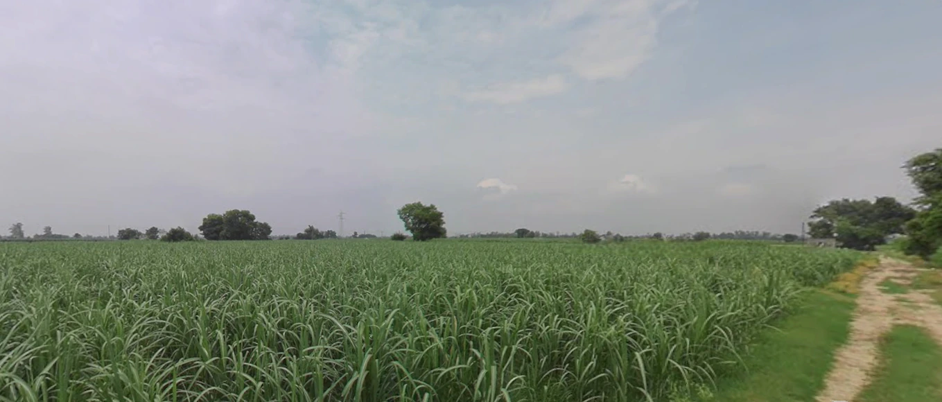 Behram, Punjab 144504, India