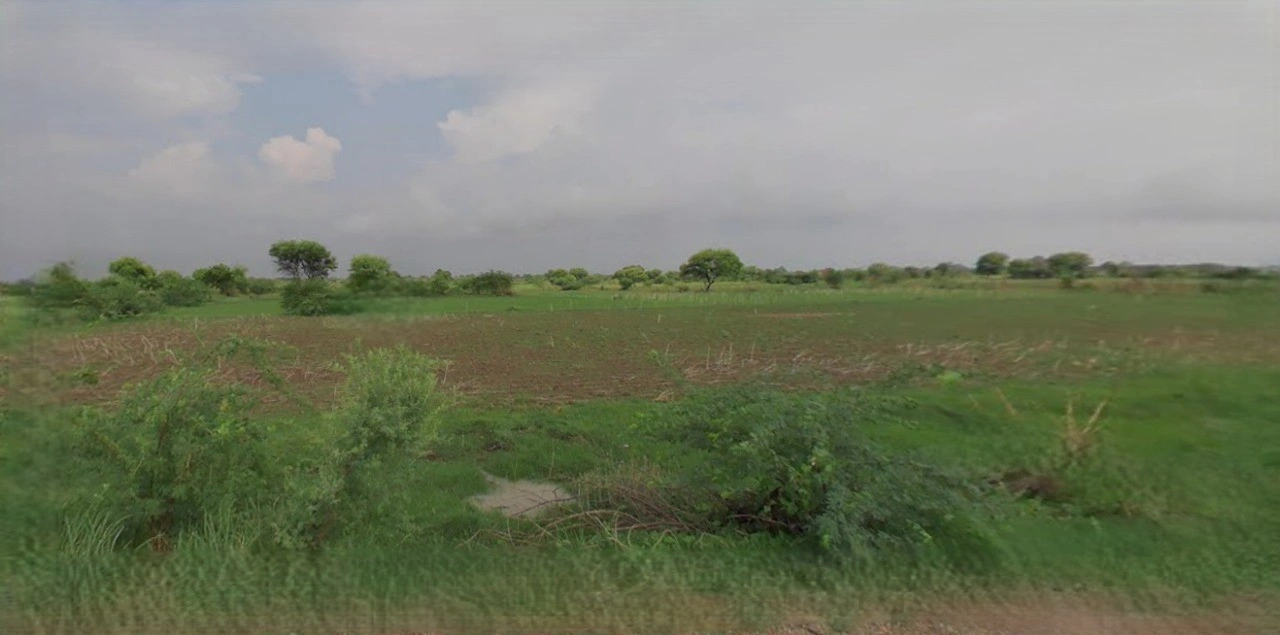 Kasganj, Uttar Pradesh 207123, India