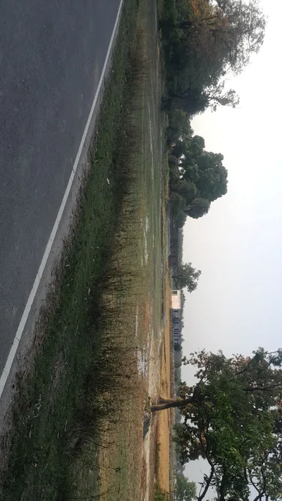 M797+J9 Durga Pur, Uttar Pradesh, India preview 3