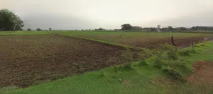 Rohtak, Haryana, India preview 3