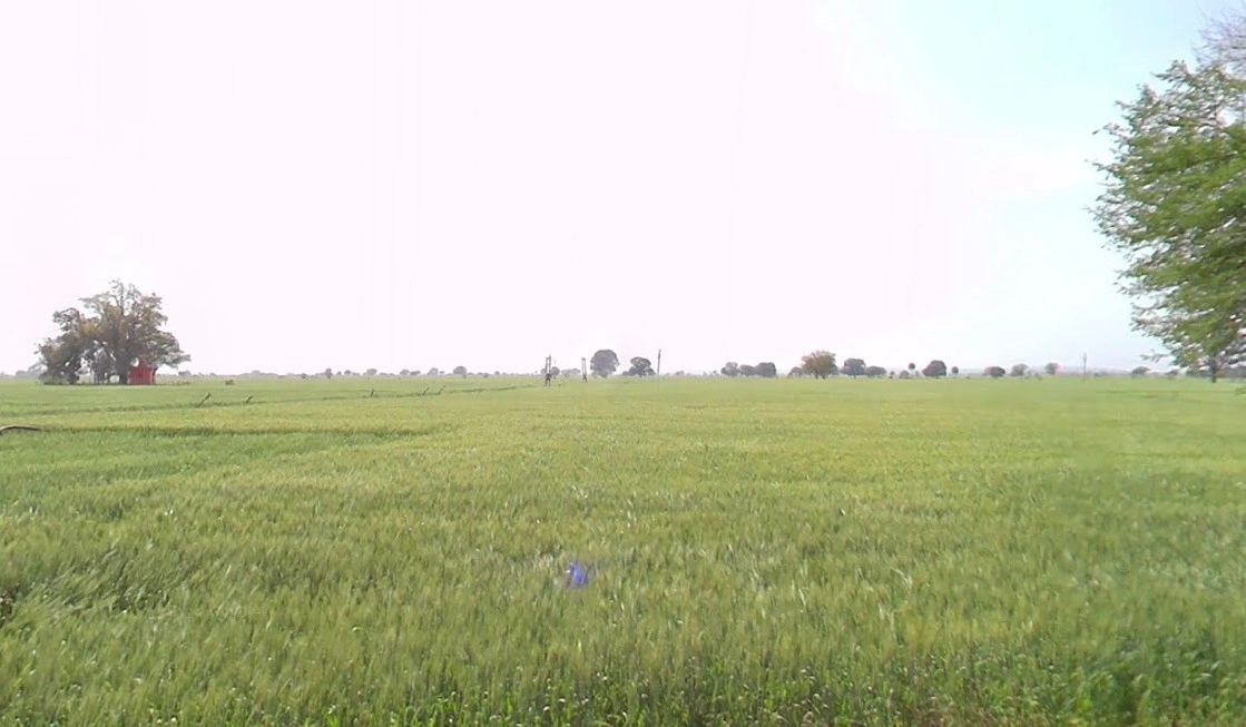 GQQ3+2QR, Mau Khedi, Madhya Pradesh, India