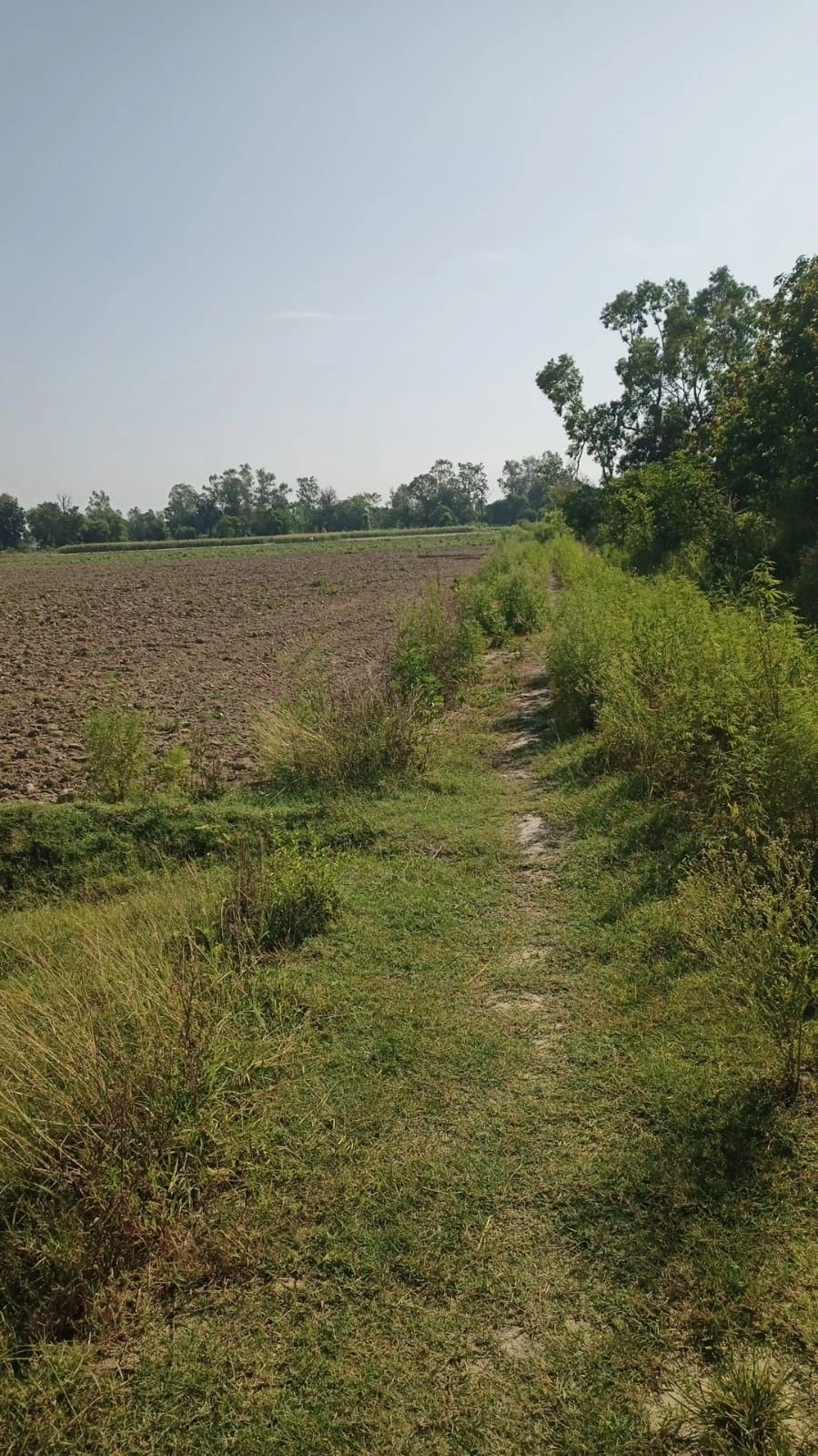 303701, Chatarpura Rd, Keshar Vihar, Jaipur, Chatarpura, Rajasthan 303701, India