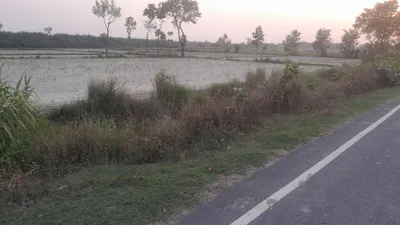 Misrana marg 2 Maushivla bajar, Masaudha, Uttar Pradesh 224001, India preview 3