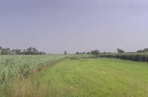 Moradabad, Uttar Pradesh, India preview 3