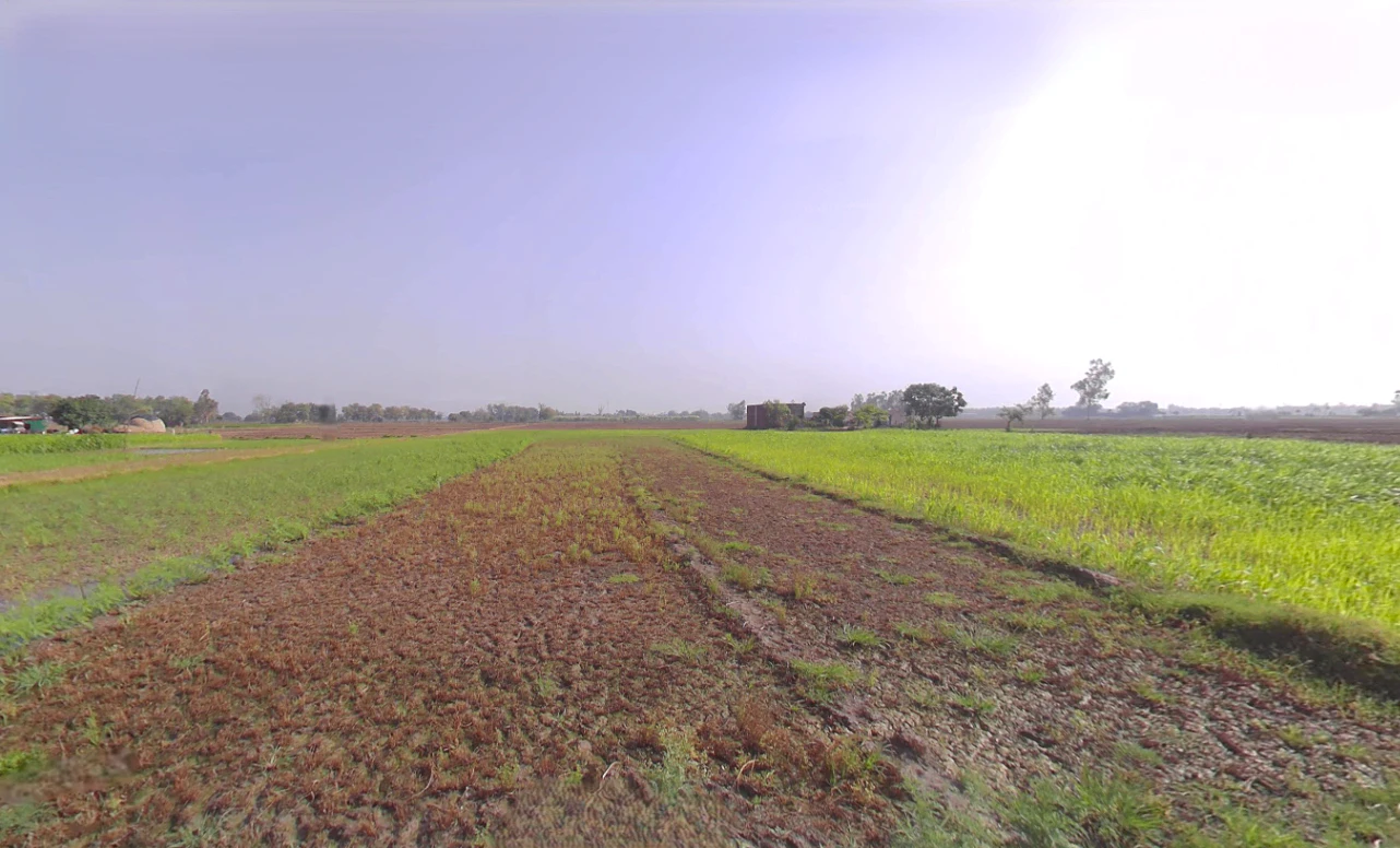 Bargodam, Kalka, Haryana 133302, India