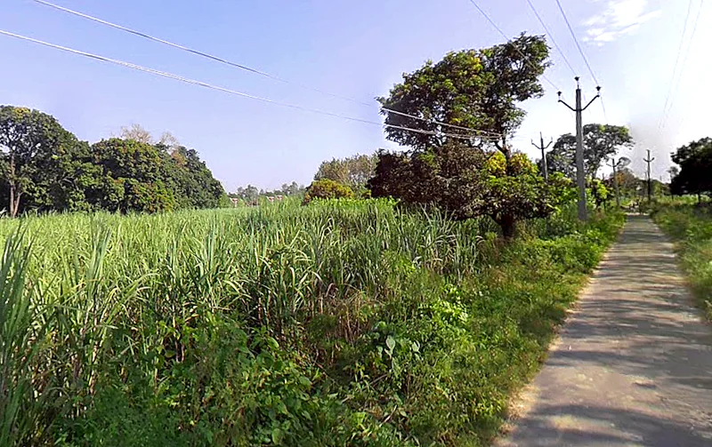 Lalpur, Uttar Pradesh, India preview 2