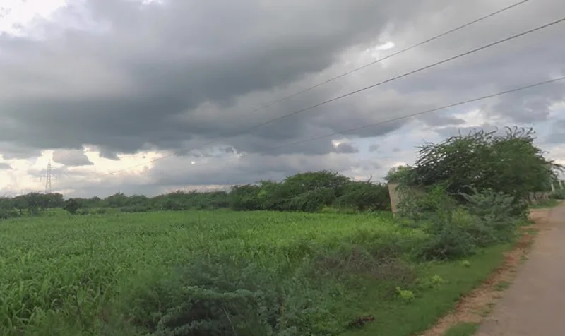 Khori, Rajasthan 305021, India preview 2