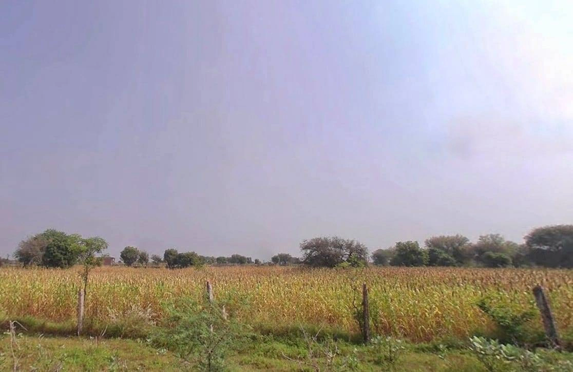 PVWP+32 Barh Ramzanipura, Rajasthan, India