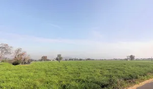 Bawana Gujar, Haryana 123101, India preview 2