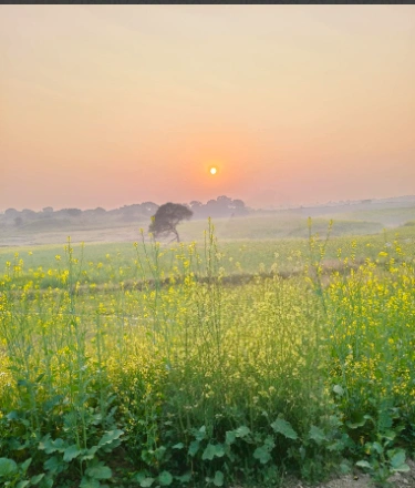 Ujjainiya, Madhya Pradesh 456006, India