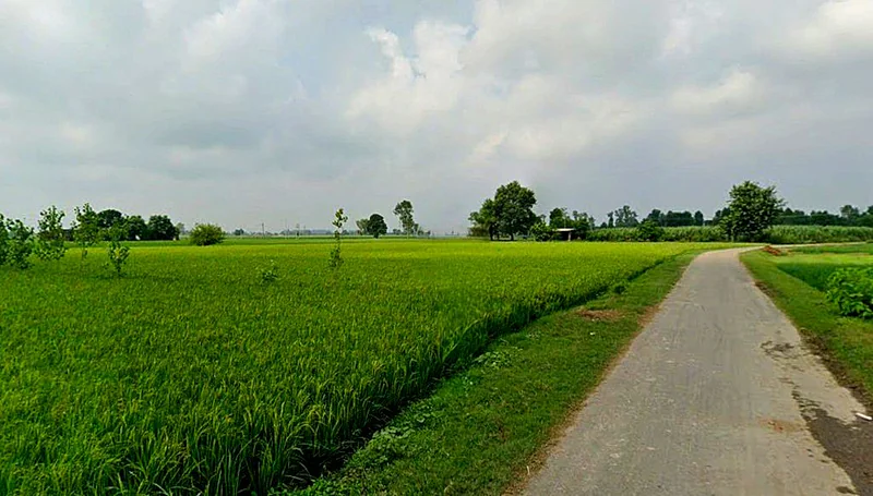 Raita, Chhattisgarh, India preview 2