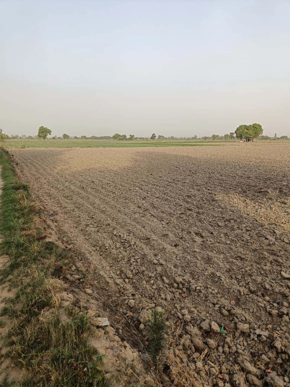 Tentigaon, Uttar Pradesh, India