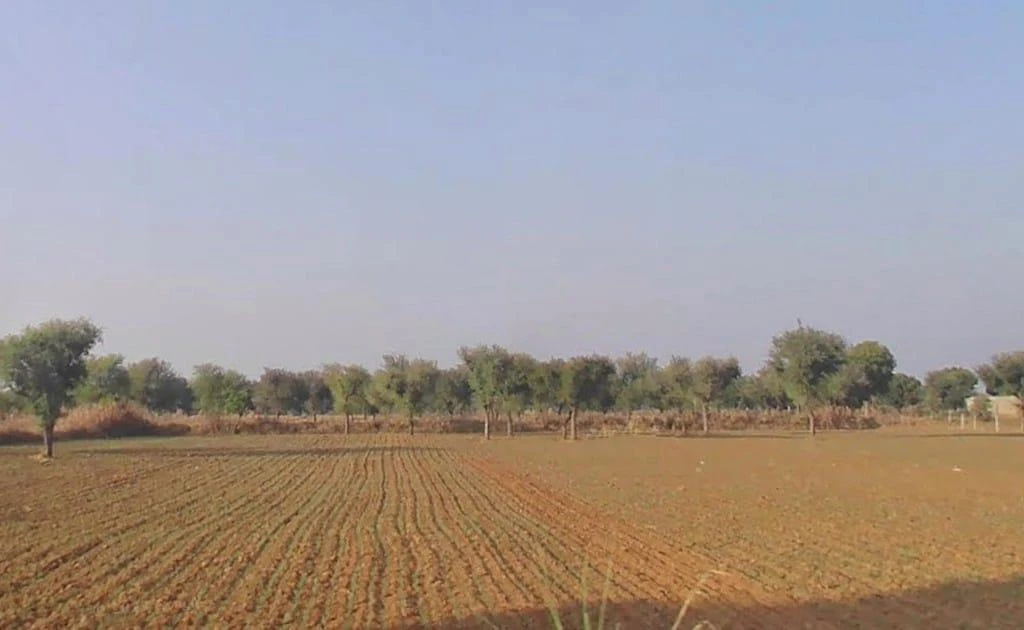 Akoda, Rajasthan 303338, India