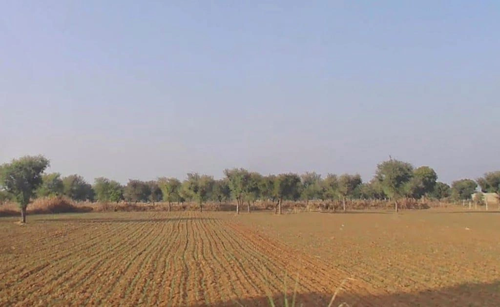 Akoda, Rajasthan 303338, India