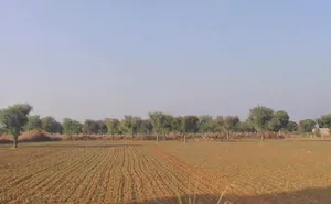 Akoda, Rajasthan 303338, India preview 3