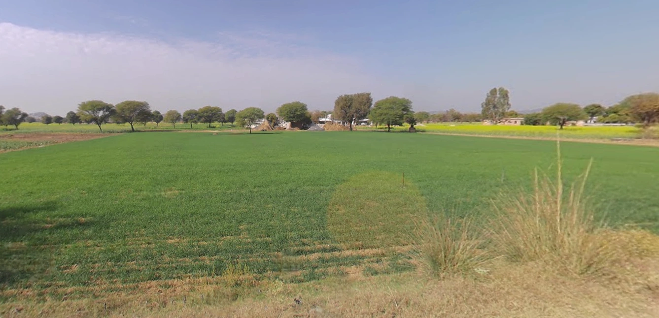 Moodiya, Rajasthan 321028, India