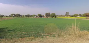 Moodiya, Rajasthan 321028, India preview 3