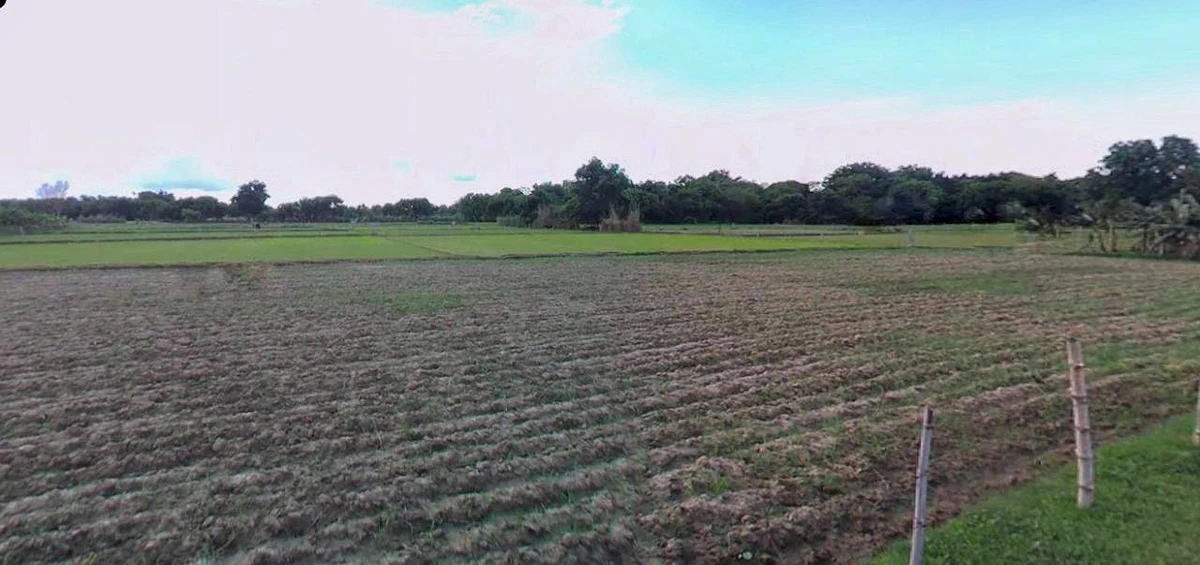 Barnagar, Madhya Pradesh 456771, India