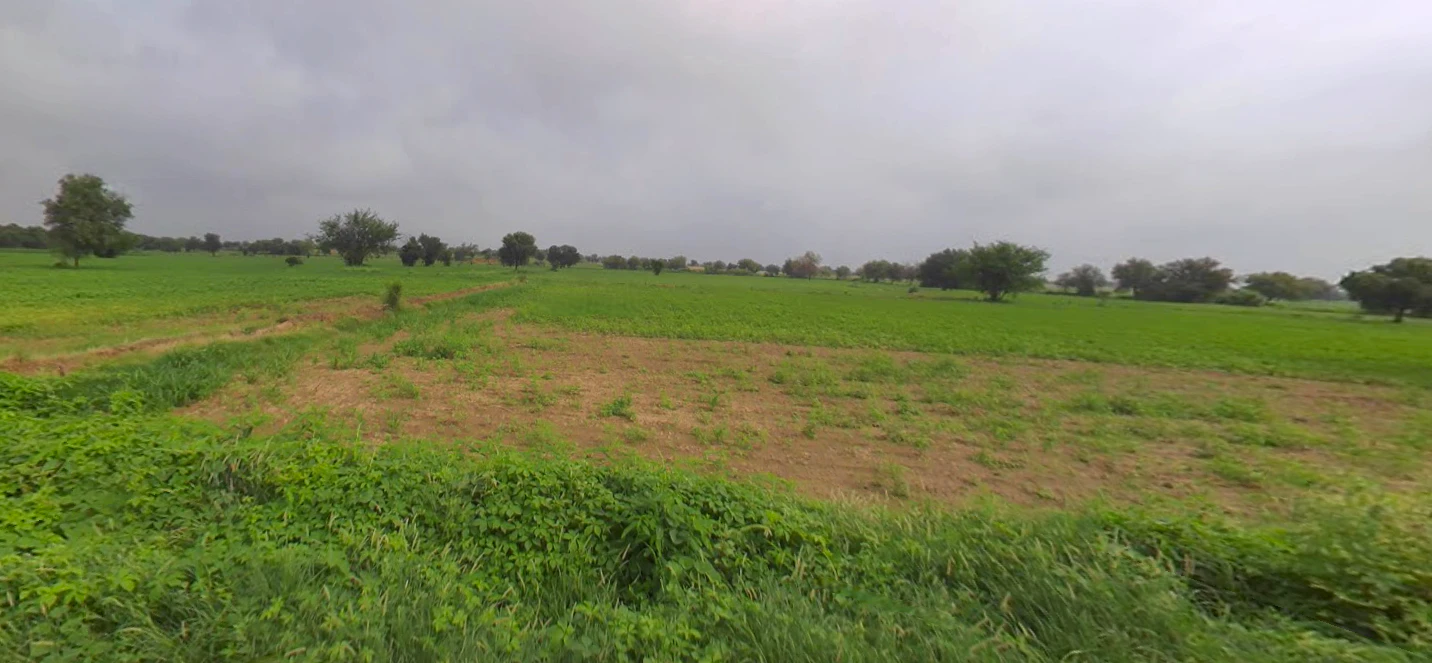 Rampur, Gujarat 382225, India