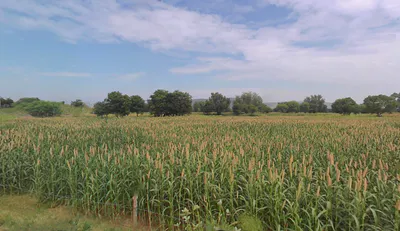 Pinan, Rajasthan, India preview 2